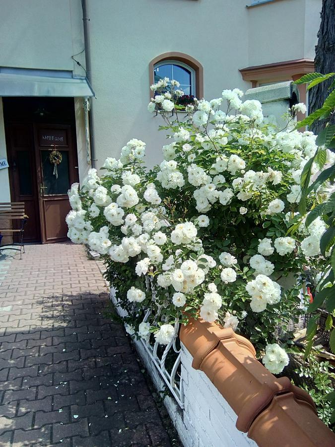 Penzion Villa Marion マリアーンスケー・ラーズニェ エクステリア 写真